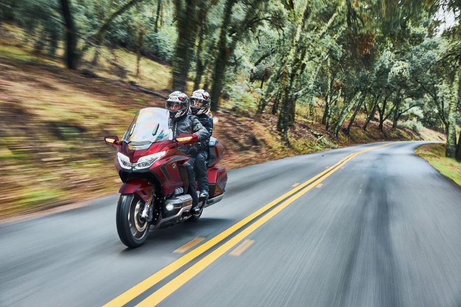 Honda Gold Wing Tour on a forest road